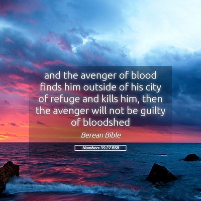 Picture 05 - Numbers 35:27 BSB - and the avenger of blood finds him outside of his - Bible Verse Picture