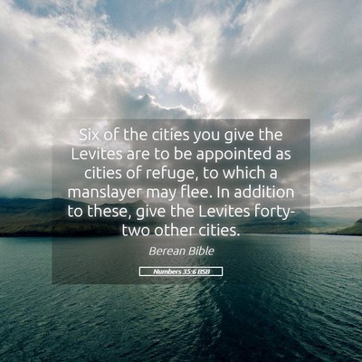 Picture 05 - Numbers 35:6 BSB - Six of the cities you give the Levites are to be - Bible Verse Picture