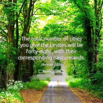 Picture 05 - Numbers 35:7 BSB - The total number of cities you give the Levites - Bible Verse Picture