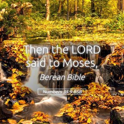 Picture 05 - Numbers 35:9 BSB - Then the LORD said to - Bible Verse Picture