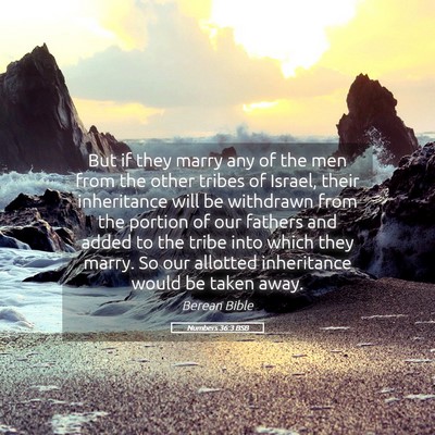 Picture 05 - Numbers 36:3 BSB - But if they marry any of the men from the other - Bible Verse Picture