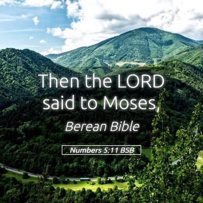 Picture 05 - Numbers 5:11 BSB - Then the LORD said to - Bible Verse Picture