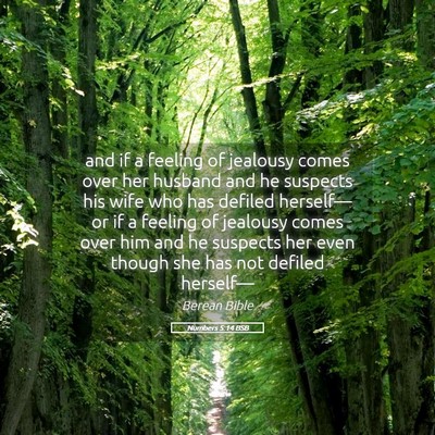 Picture 05 - Numbers 5:14 BSB - and if a feeling of jealousy comes over her - Bible Verse Picture