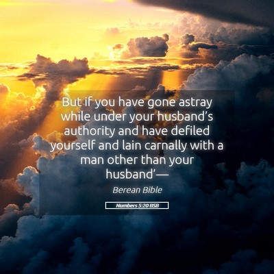 Picture 05 - Numbers 5:20 BSB - But if you have gone astray while under your - Bible Verse Picture