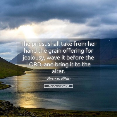 Picture 05 - Numbers 5:25 BSB - The priest shall take from her hand the grain - Bible Verse Picture