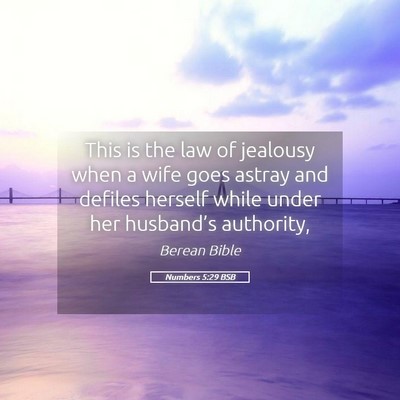 Picture 05 - Numbers 5:29 BSB - This is the law of jealousy when a wife goes - Bible Verse Picture