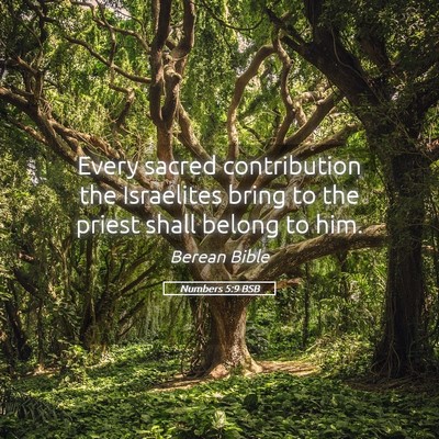 Picture 05 - Numbers 5:9 BSB - Every sacred contribution the Israelites bring to - Bible Verse Picture