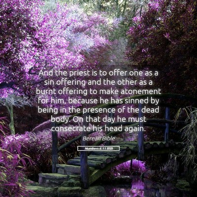 Picture 05 - Numbers 6:11 BSB - And the priest is to offer one as a sin offering - Bible Verse Picture