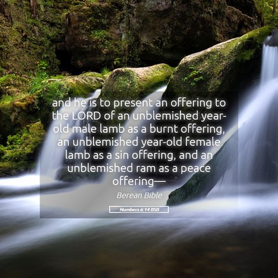 Picture 05 - Numbers 6:14 BSB - and he is to present an offering to the LORD of - Bible Verse Picture