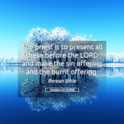 Picture 05 - Numbers 6:16 BSB - The priest is to present all these before the - Bible Verse Picture
