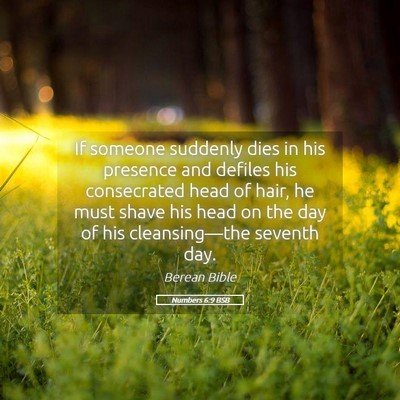 Picture 05 - Numbers 6:9 BSB - If someone suddenly dies in his presence and - Bible Verse Picture