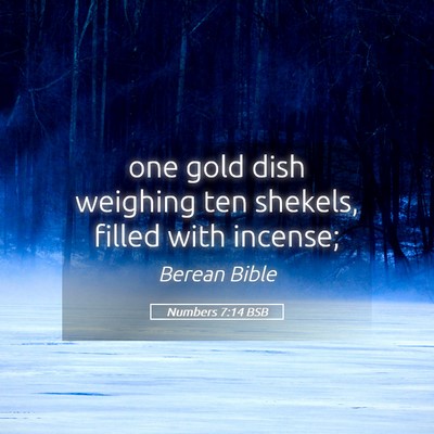 Picture 05 - Numbers 7:14 BSB - one gold dish weighing ten shekels, filled with - Bible Verse Picture