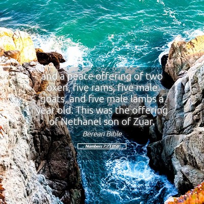 Picture 05 - Numbers 7:23 BSB - and a peace offering of two oxen, five rams, five - Bible Verse Picture