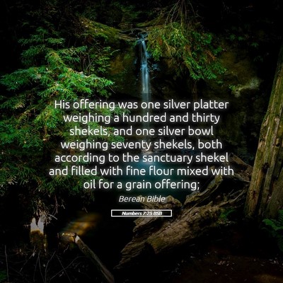 Picture 05 - Numbers 7:25 BSB - His offering was one silver platter weighing a - Bible Verse Picture