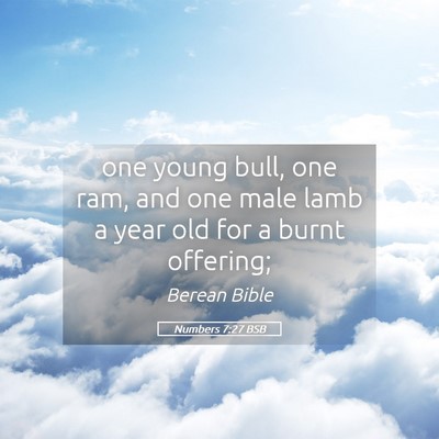 Picture 05 - Numbers 7:27 BSB - one young bull, one ram, and one male lamb a year - Bible Verse Picture