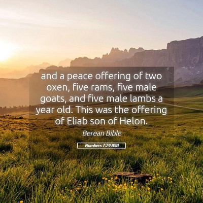 Picture 05 - Numbers 7:29 BSB - and a peace offering of two oxen, five rams, five - Bible Verse Picture