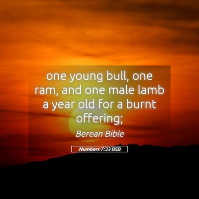 Picture 05 - Numbers 7:33 BSB - one young bull, one ram, and one male lamb a year - Bible Verse Picture