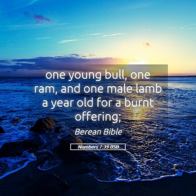 Picture 05 - Numbers 7:39 BSB - one young bull, one ram, and one male lamb a year - Bible Verse Picture