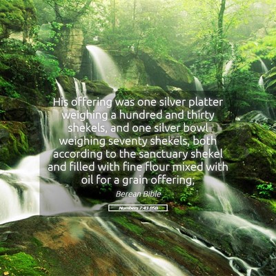 Picture 05 - Numbers 7:43 BSB - His offering was one silver platter weighing a - Bible Verse Picture