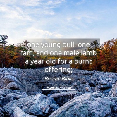 Picture 05 - Numbers 7:45 BSB - one young bull, one ram, and one male lamb a year - Bible Verse Picture