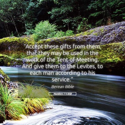 Picture 05 - Numbers 7:5 BSB - “Accept these gifts from them, that they may be - Bible Verse Picture