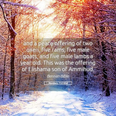 Picture 05 - Numbers 7:53 BSB - and a peace offering of two oxen, five rams, five - Bible Verse Picture
