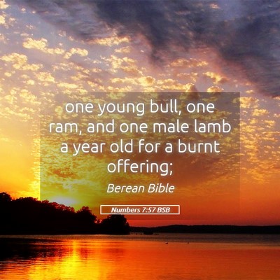 Picture 05 - Numbers 7:57 BSB - one young bull, one ram, and one male lamb a year - Bible Verse Picture