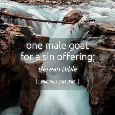 Picture 05 - Numbers 7:64 BSB - one male goat for a sin - Bible Verse Picture