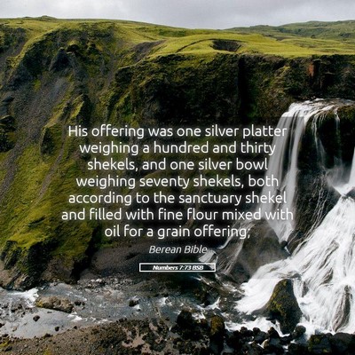 Picture 05 - Numbers 7:73 BSB - His offering was one silver platter weighing a - Bible Verse Picture