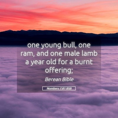 Picture 05 - Numbers 7:81 BSB - one young bull, one ram, and one male lamb a year - Bible Verse Picture
