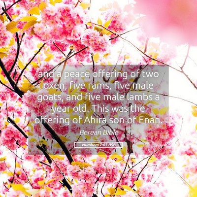 Picture 05 - Numbers 7:83 BSB - and a peace offering of two oxen, five rams, five - Bible Verse Picture