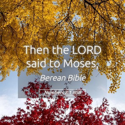Picture 05 - Numbers 8:1 BSB - Then the LORD said to - Bible Verse Picture