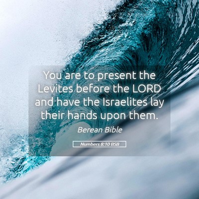 Picture 05 - Numbers 8:10 BSB - You are to present the Levites before the LORD - Bible Verse Picture