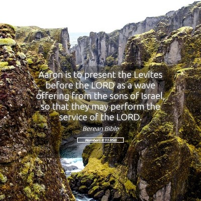 Picture 05 - Numbers 8:11 BSB - Aaron is to present the Levites before the LORD - Bible Verse Picture
