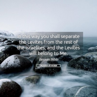 Picture 05 - Numbers 8:14 BSB - In this way you shall separate the Levites from - Bible Verse Picture