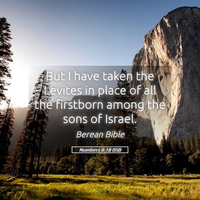 Picture 05 - Numbers 8:18 BSB - But I have taken the Levites in place of all the - Bible Verse Picture