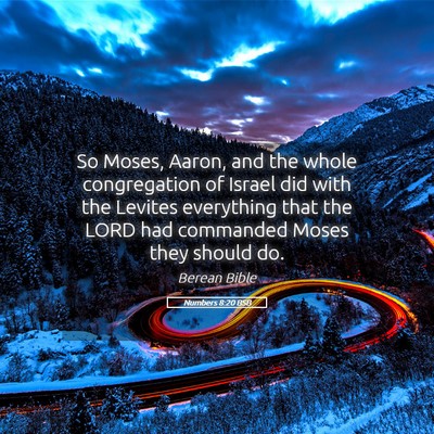 Picture 05 - Numbers 8:20 BSB - So Moses, Aaron, and the whole congregation of - Bible Verse Picture
