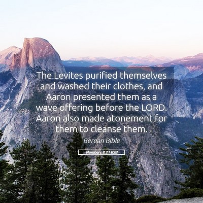 Picture 05 - Numbers 8:21 BSB - The Levites purified themselves and washed their - Bible Verse Picture