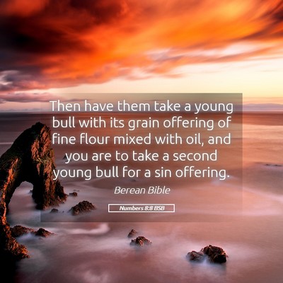 Picture 05 - Numbers 8:8 BSB - Then have them take a young bull with its grain - Bible Verse Picture