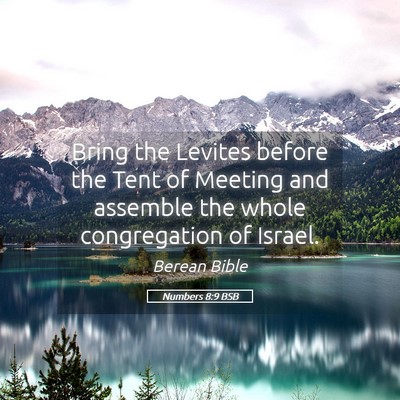 Picture 05 - Numbers 8:9 BSB - Bring the Levites before the Tent of Meeting and - Bible Verse Picture