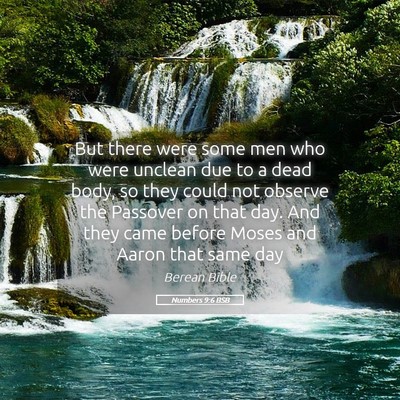 Picture 05 - Numbers 9:6 BSB - But there were some men who were unclean due to a - Bible Verse Picture