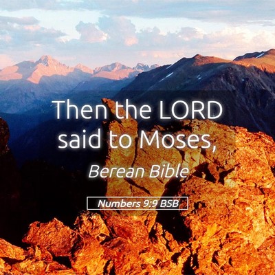 Picture 05 - Numbers 9:9 BSB - Then the LORD said to - Bible Verse Picture