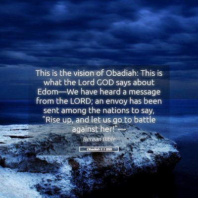 Picture 05 - Obadiah 1:1 BSB - This is the vision of Obadiah: This is what the - Bible Verse Picture
