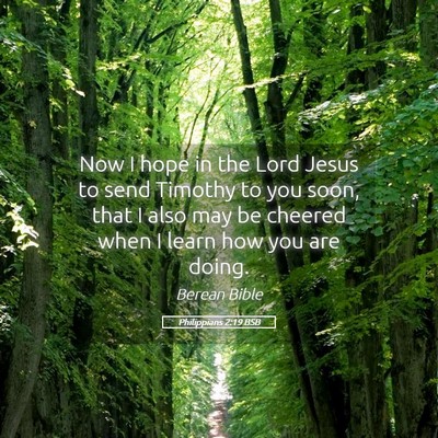 Picture 05 - Philippians 2:19 BSB - Now I hope in the Lord Jesus to send Timothy to - Bible Verse Picture