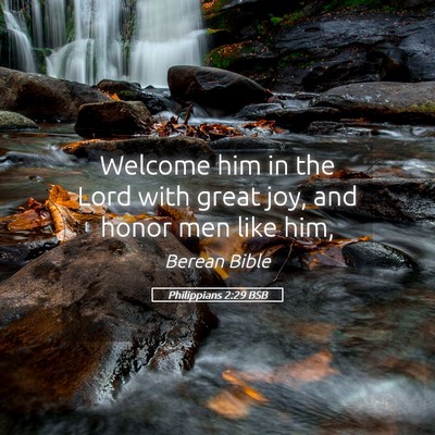 Picture 05 - Philippians 2:29 BSB - Welcome him in the Lord with great joy, and honor - Bible Verse Picture
