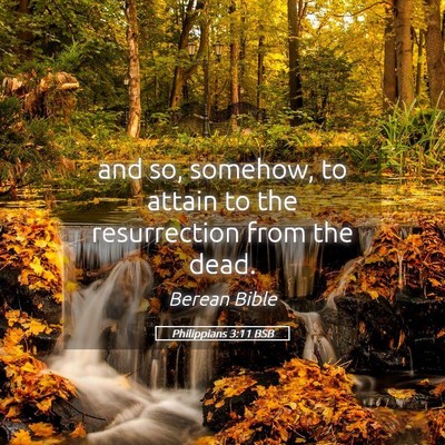 Picture 05 - Philippians 3:11 BSB - and so, somehow, to attain to the resurrection - Bible Verse Picture