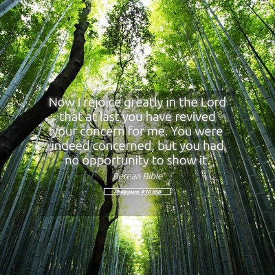Picture 05 - Philippians 4:10 BSB - Now I rejoice greatly in the Lord that at last - Bible Verse Picture