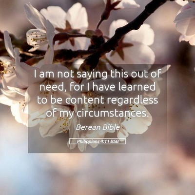 Picture 05 - Philippians 4:11 BSB - I am not saying this out of need, for I have - Bible Verse Picture