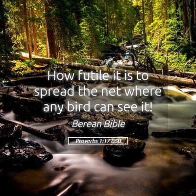 Picture 05 - Proverbs 1:17 BSB - How futile it is to spread the net where any bird - Bible Verse Picture