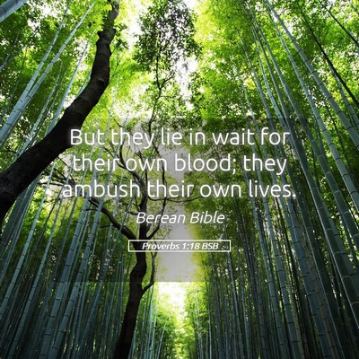 Picture 05 - Proverbs 1:18 BSB - But they lie in wait for their own blood; they - Bible Verse Picture